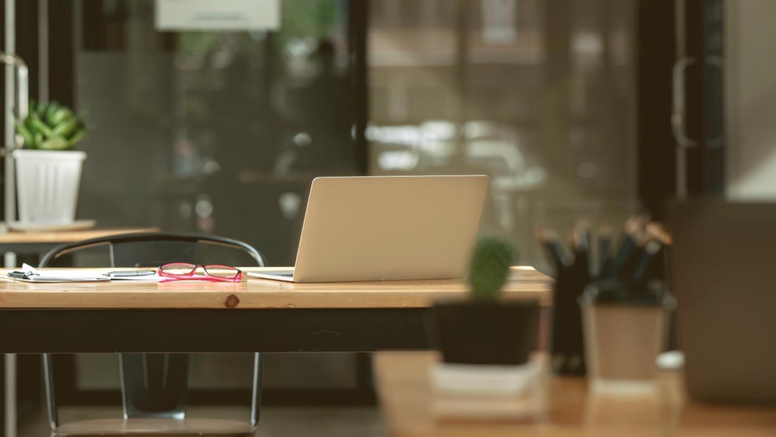 Students analyzing SEO data on laptops during workshop session